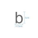 10 wetterfeste Klebebuchstaben – selbstklebend für Außen & Innen: „b“ (5 cm, silber)