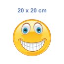 Lachend Hinterlistig Smile Aufkleber – Wetterfester Sticker für Innen und Außen (20 x 20 cm)