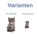 Katzen Aufkleber – süßer Baby-Katze...