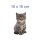 Katzen Aufkleber – süßer Baby-Katze Sticker für Auto, Fenster & Co. (10 x 16 cm)