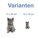 Katzen Aufkleber – süßer Baby-Katze...