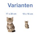 Katzen Aufkleber – süßer Baby Katze...