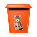 Katzen Aufkleber – süßer Baby Katze Sticker für Auto, Fenster & Co. (17 x 28 cm)