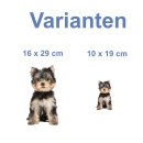 Yorkshire Terrier Aufkleber – realistischer...