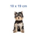 Yorkshire Terrier Aufkleber – realistischer Hundesticker für Auto & Fenster (10 x 19 cm)