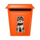 Yorkshire Terrier Aufkleber – realistischer Hundesticker für Auto & Fenster (10 x 19 cm)