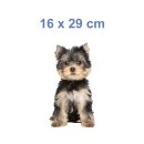 Yorkshire Terrier Aufkleber – realistischer Hundesticker für Auto & Fenster (16 x 29 cm)