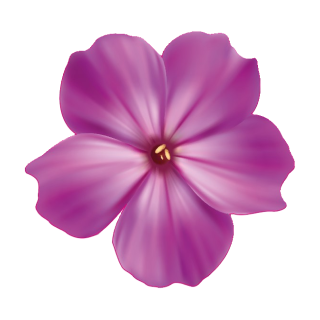 Violette Petunie Aufkleber – wetterfeste Blumendekoration