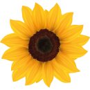 Aufkleber Sticker Sonnenblume gelb Blume selbstklebend...