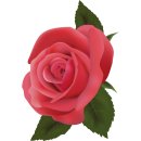 Aufkleber rote Rose Blume