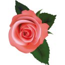 Aufkleber Rose rosa Autoaufkleber wasserfest Blumen...