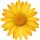 Aufkleber Sticker Margerite gelb Blume selbstklebend Autoaufkleber Blumenwiese Album Dekoration Set Car Caravan Wohnwagen wetterfest