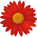 Aufkleber Sticker Gänseblume rot Blume selbstklebend Autoaufkleber Blumenwiese Album Dekoration Set Car Caravan Wohnwagen wetterfest