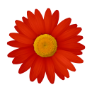 Rote Gänseblume Aufkleber – Wetterfester...