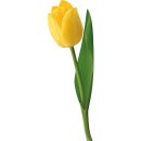 Aufkleber Sticker gelbe Tulpe Blume selbstklebend...