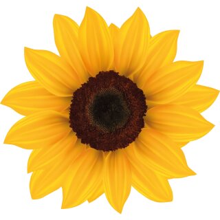 Aufkleber Sticker Sonnenblume gelb Blume selbstklebend Autoaufkleber Blumenwiese Mülltonne Dekoration Set Wohnwagen wetterfest 19 x 20 cm