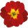 Aufkleber Sticker Primel rot gelb Blume selbstklebend Autoaufkleber Blumenwiese Album Dekoration Set Car Caravan Wohnwagen wetterfest 9 x 10 cm