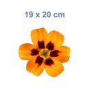 Gelb-Rote Petunie Aufkleber – Wetterfester Blumenschmuck (19 x 20 cm)