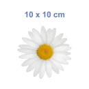 Weiße Gänseblume Aufkleber – Wetterfester Blüten-Sticker für Fenster & Auto (10 x 10 cm)
