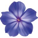 Aufkleber Sticker Petunie blau Blume selbstklebend Autoaufkleber Blumenwiese Album Dekoration Set Car Caravan Wohnwagen wetterfest 9 x 10cm