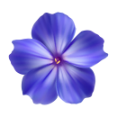 Blaue Petunie Aufkleber – wetterfester...