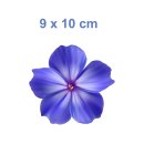 Blaue Petunie Aufkleber – wetterfester Blumensticker für Fenster & mehr (9 x 10 cm)