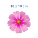 Pinke Cosmea Aufkleber – Wetterfeste Blumendekoration (10 x 10 cm)