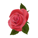 Rote Rose Aufkleber – Wetterfester Blumen-Sticker...