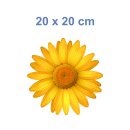 Gelbe Margerite Aufkleber – Wetterfeste Blumensticker für Fenster & Auto (20 x 20 cm)