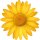 Aufkleber Sticker Margerite gelb Blume selbstklebend Autoaufkleber Blumenwiese Album Dekoration Set Car Caravan Wohnwagen wetterfest 20 x 20 cm