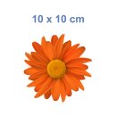Orange Gerbera Aufkleber – Wetterfester Blumenschmuck für Fenster & Auto (10 x 10 cm)