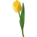 Aufkleber Sticker gelbe Tulpe Blume selbstklebend Autoaufkleber Blumenwiese Album Dekoration Set Car Caravan Wohnwagen wetterfest 6 x 18 cm