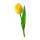Gelbe Tulpe Aufkleber – Wetterfester Blumen-Sticker von Kleberio (6 x 18 cm)