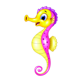 Lustiges Seepferdchen Aufkleber – bunter Smile Sticker für Auto & Fenster (29 x 14 cm)