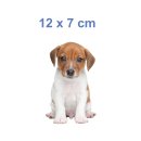 Setangebot: Baby Jack Russell Terrier Aufkleber – wetterfeste Hundesticker (12 x 7 cm)