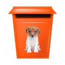 Setangebot: Baby Jack Russell Terrier Aufkleber – wetterfeste Hundesticker (12 x 7 cm)
