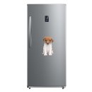 Setangebot: Baby Jack Russell Terrier Aufkleber – wetterfeste Hundesticker (12 x 7 cm)