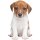 Aufkleber Baby Jack Russel Terrier Hund selbstklebend Sticker Autoaufkleber Dekoration Wohnwagen Heckscheibenaufkleber Car Set wetterfest 12 x 7 cm