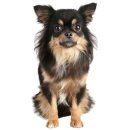 Aufkleber Long-Haired Chihuahua Hund selbstklebend...