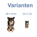 Langhaar Chihuahua Aufkleber – realistischer...