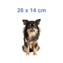 Langhaar Chihuahua Aufkleber – realistischer Hundesticker für Auto & Fenster (26 x 14 cm)