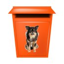 Langhaar Chihuahua Aufkleber – realistischer Hundesticker für Auto & Fenster (26 x 14 cm)