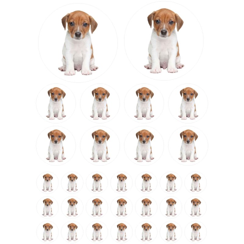 Sticker Set Jack Russel Terrier Aufkleber für Kinder Motorrad Autoauf, 9,49  €