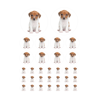 Setangebote Aufkleber – Jack Russel Terrier Sticker für Auto, Kinder & mehr