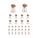 Setangebote Aufkleber – Jack Russel Terrier Sticker...