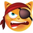 Aufkleber lustig Katze Pirat mit Augenklappe wetterfest Autoaufkleber Wohnmobil für Helm Mülltonnenaufkleber Wohnwagen
