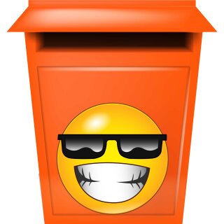 Aufkleber mit Sonnenbrille und lachend wetterfest Autoaufkleber Wohnmobil Mülltonnenaufkleber Wohnwagen 20 x 20 cm