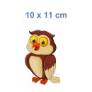 Fröhliche Eule Fun Aufkleber – wetterfester Uhu Sticker für Auto & Fenster (10 x 11 cm)