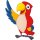 Aufkleber Papagei wasserfest Sticker Familie Vogel Dschungel lächeln Tier tropisch Kinder Deko Autoaufkleber