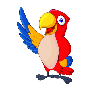 Papagei Fun Aufkleber – bunter tropischer Vogel-Sticker für Auto & Kinderzimmer (12 x 9 cm)